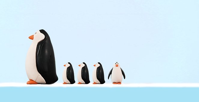 篇5：中考英语作文技巧与策略