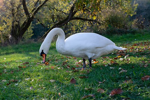 不少专家认为,“全国一张卷”将为后续很多...