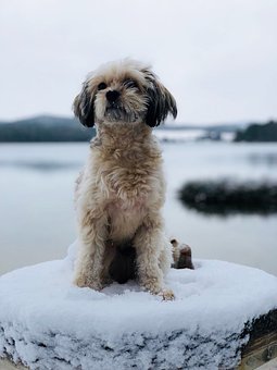 (3)ͼ������⼼�ɡ�����Ҫ������ʷ��ͼ��...