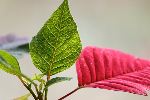 6、今天发挥得怎样？考得好不好？有把握没...