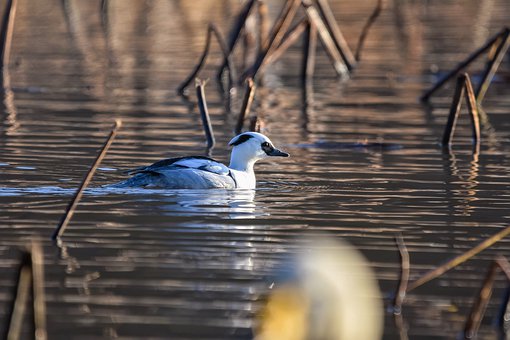 ѧСѧѧһһϦ¶Ҫ...