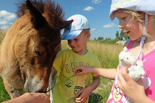 ˵еѹ⣬֪ڡABC УAB...