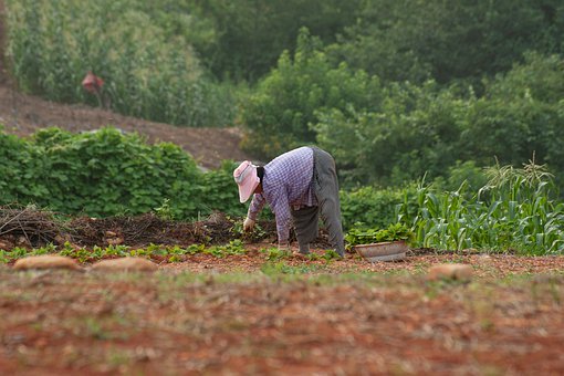篇3：高三地理：人口变化核心知识点解析