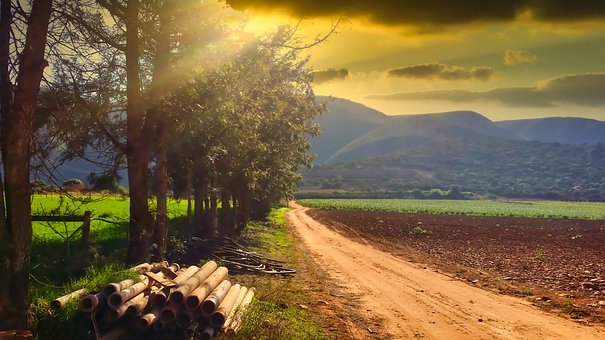 若善于从生活中发现美好,而不总是着眼于些...