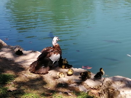 在跟他们沟通的过程中,我不仅了解了他们所...