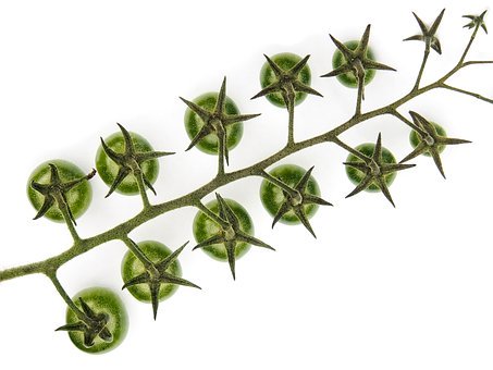 学习语文,也是学习生活