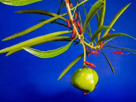 112、共产主义教育 education in communism