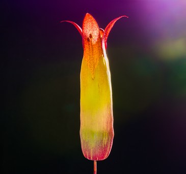 高一数学必修第二册:涵盖基本初等函数(I...