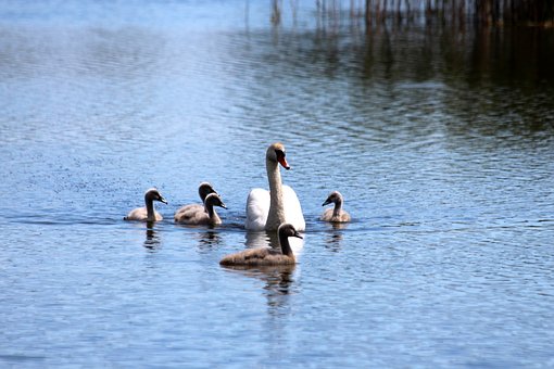 4、重复宝宝的错误语音