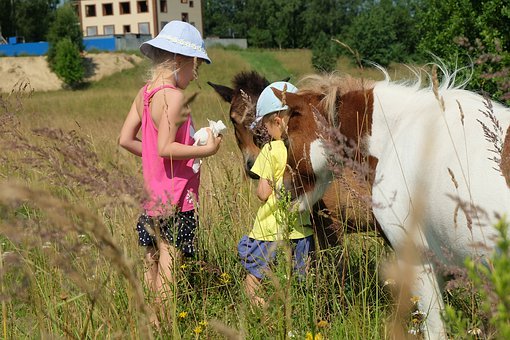以上是几天听课诸多收获,相信会在今后的教...