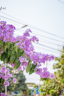 篇13：高一地理：自然地理环境核心知识点精讲