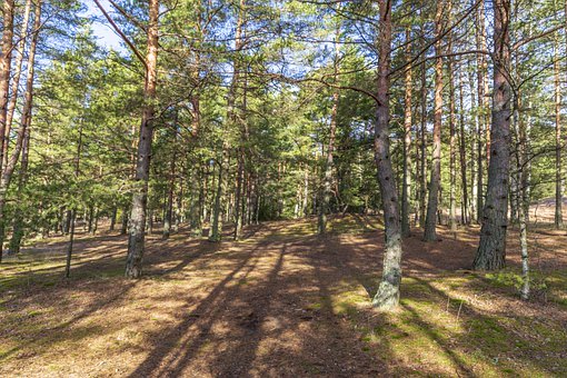 2.苏诗第三句从“横风吹雨”转入“雨过潮平...