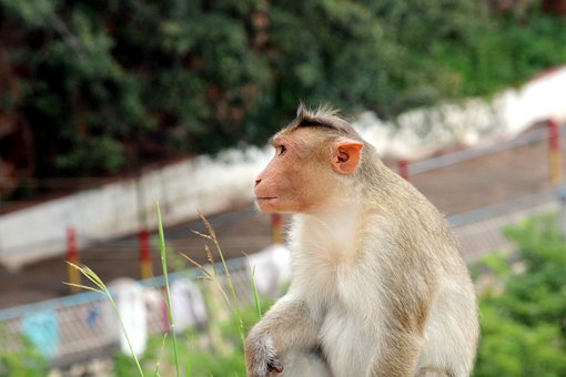 现实的教育:从退学到找工作