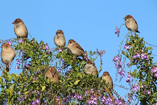 1.- I think the shop is closed at this t...