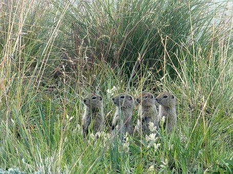 很多考生没能正确认识到复习和考试的联系,...