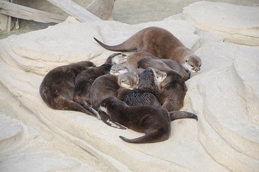 2、阅读理解是学生英语综合能力的一种体现...