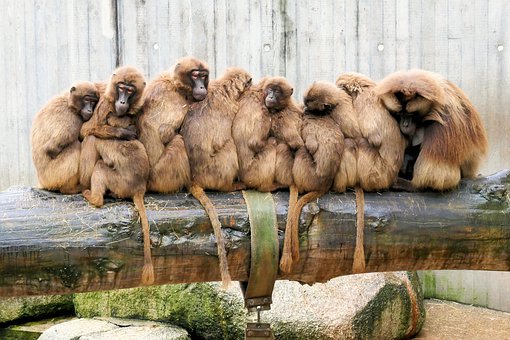 “我的朋友们也理解，轮到我家做东时，总有...