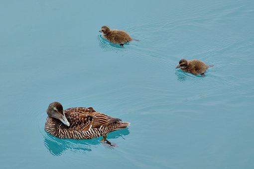 ④推动文化交流的意义：A、有利于推动中华...