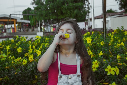 篇5：生物必修三知识点笔记