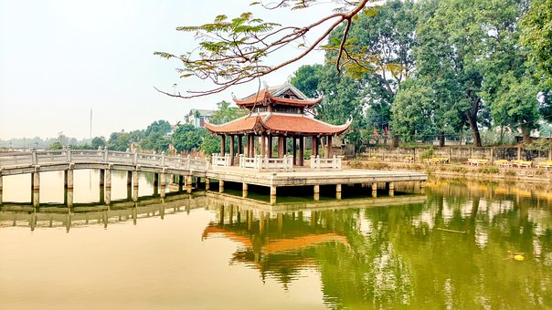第二轮复习是专题复习阶段，这一阶段的重点...