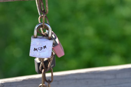 那么，多吃肉类以摄取大量蛋白质是否可行呢...