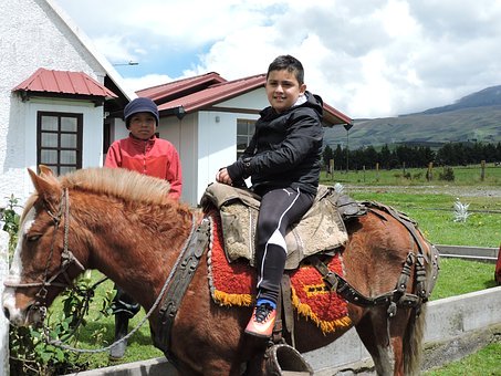 7����С���ԡ�