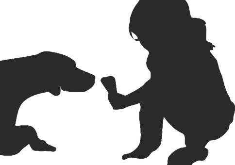 篇3：高二物理：磁场知识点详解与整理