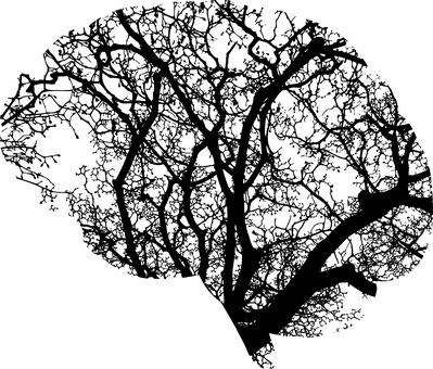 著名女性学者章章怡和这样总结到：不管你对...