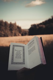 因此，建议同学们可以通过多种途径广泛积累...