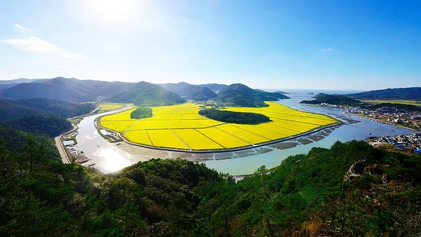 关于钢琴即兴伴奏的几个常见问题