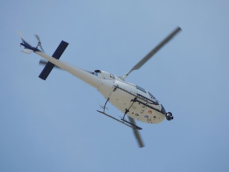 2011Ӣרҵļдע