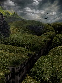 五岁儿童的特征