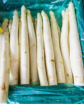 初中成绩差,考不上高中:选择多样化出路