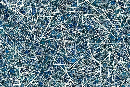 篇10：高一生物知识点归纳