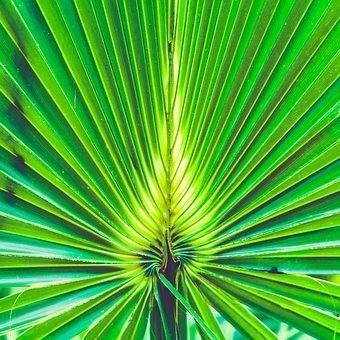 ͬѧ�ǿ����Լ����֣��Ա���ĵ��ʽ��з���...