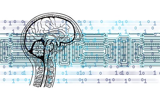 树立正确的价值观