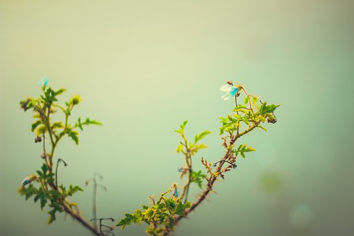 辽宁社科院研究员侯小丰指出,利用高招录取...