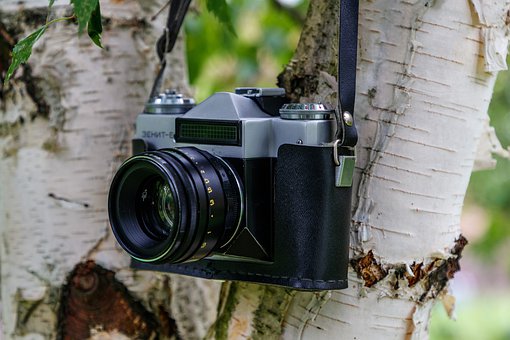 change to estimates �޶�Ԥ��