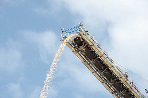 4.外骨骼的作用：外骨骼是覆盖在昆虫身体表...
