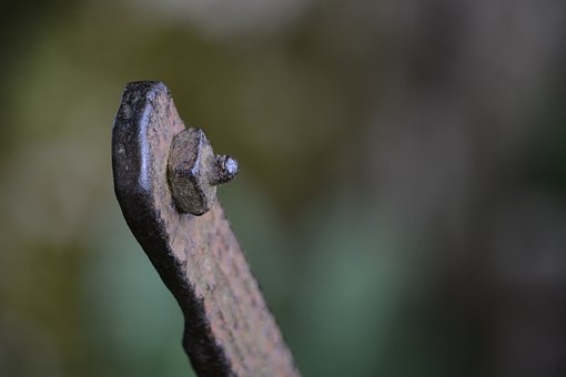 ѧú˵