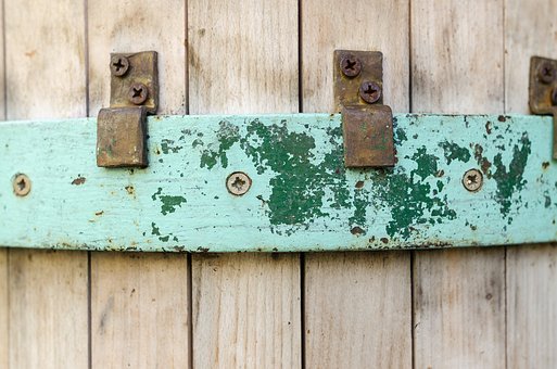 真核生物的分类