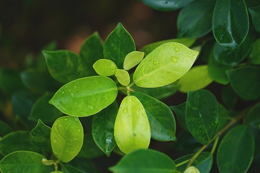 ���䴦ͬһγ�ȣ����ں�½�����������εĲ�...
