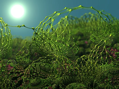 新课标要求学生主动、合作、探究式的学习方...