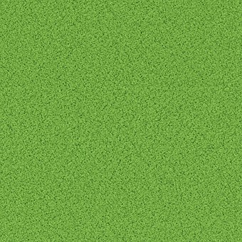 应注意的问题:在复习过程中,一定要做到每...