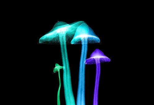宇宙的探索是一场永无止境的旅程，每一次新...