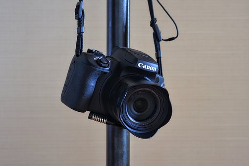 实践证明,小学阶段的作文起步,只要坚持多...