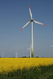 4. 天平读数时的注意事项