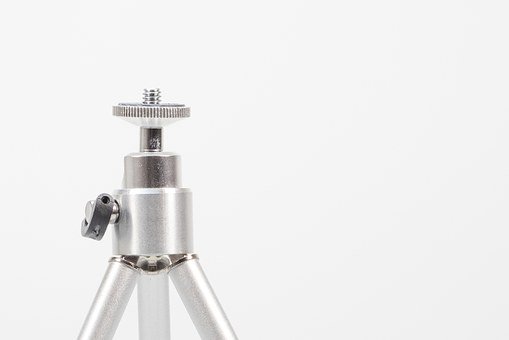 这道试题中列出的"红色酵母"、&q...