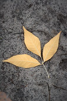 青少年沉迷网络怎么办