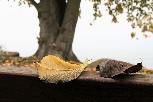 怎样控制自己的情绪不打骂孩子